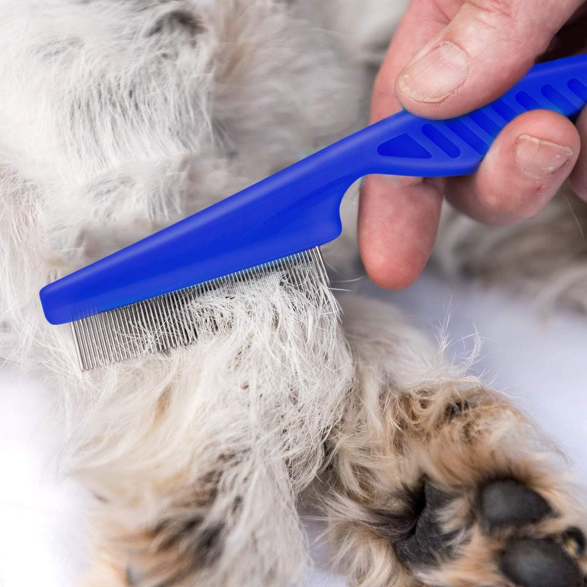 Comprar Peine para mascotas con mango de madera y dientes de acero, peines  para el cuidado de perros, peine para pulgas, peine para mascotas