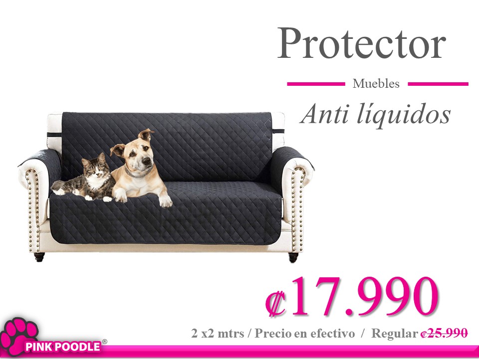 Funda impermeable para asiento de sofá con banda elástica, funda de cojín  de piel sintética elástica, protector de sofá de dos plazas antideslizante  para niños/mascotas/perros : : Productos para mascotas