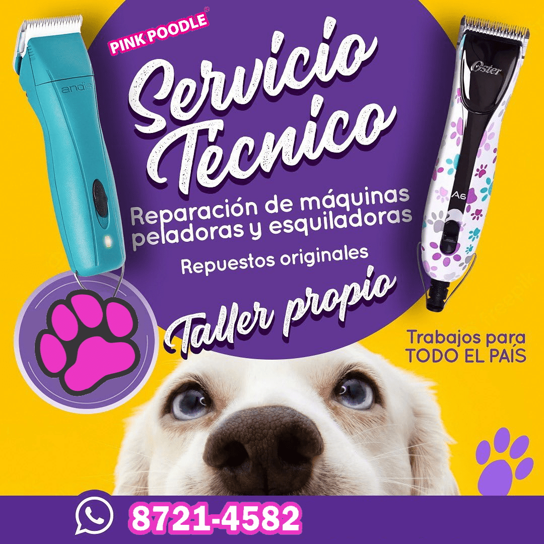 Servicio de Taller Mantenimientos y Repuestos de equipo Grooming - Imagen 3