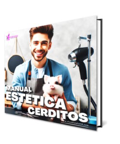 Mini Pigs - Mini Curso Estetica