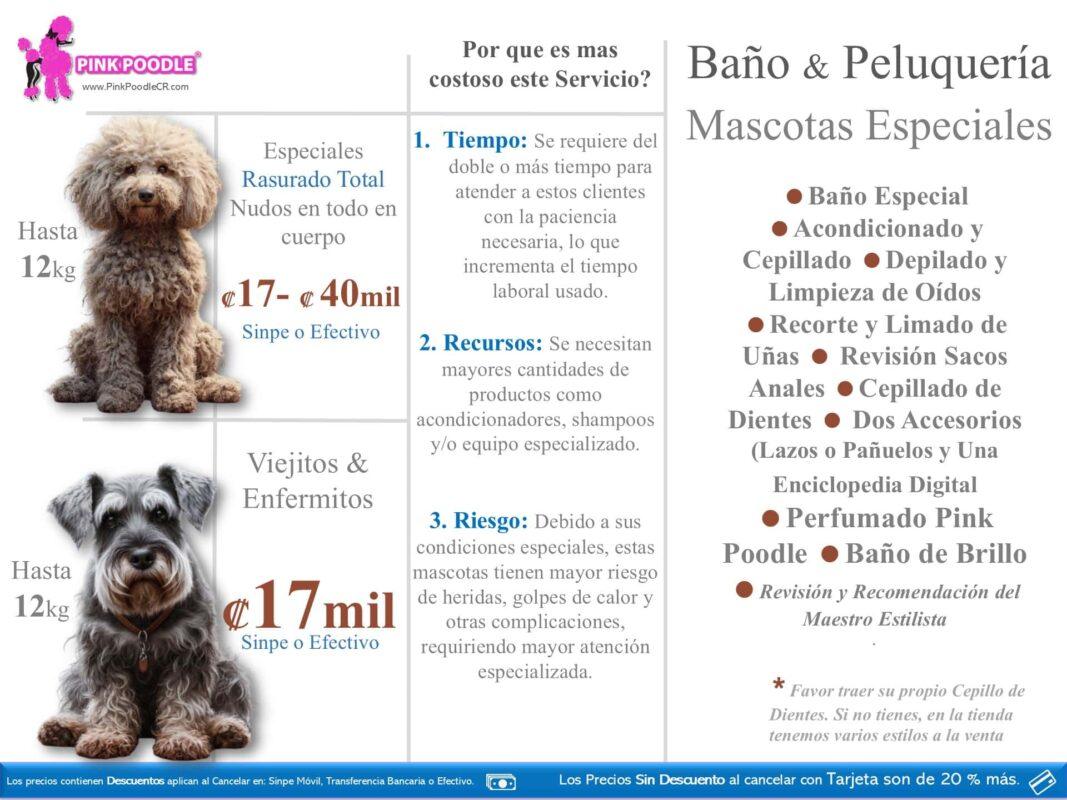 Peluquería canina en Costa Rica especializada en baños, recorte y peluquería para perros y mascotas pequeñas. Servicios de cuidado de mascotas con productos profesionales y atención personalizada.