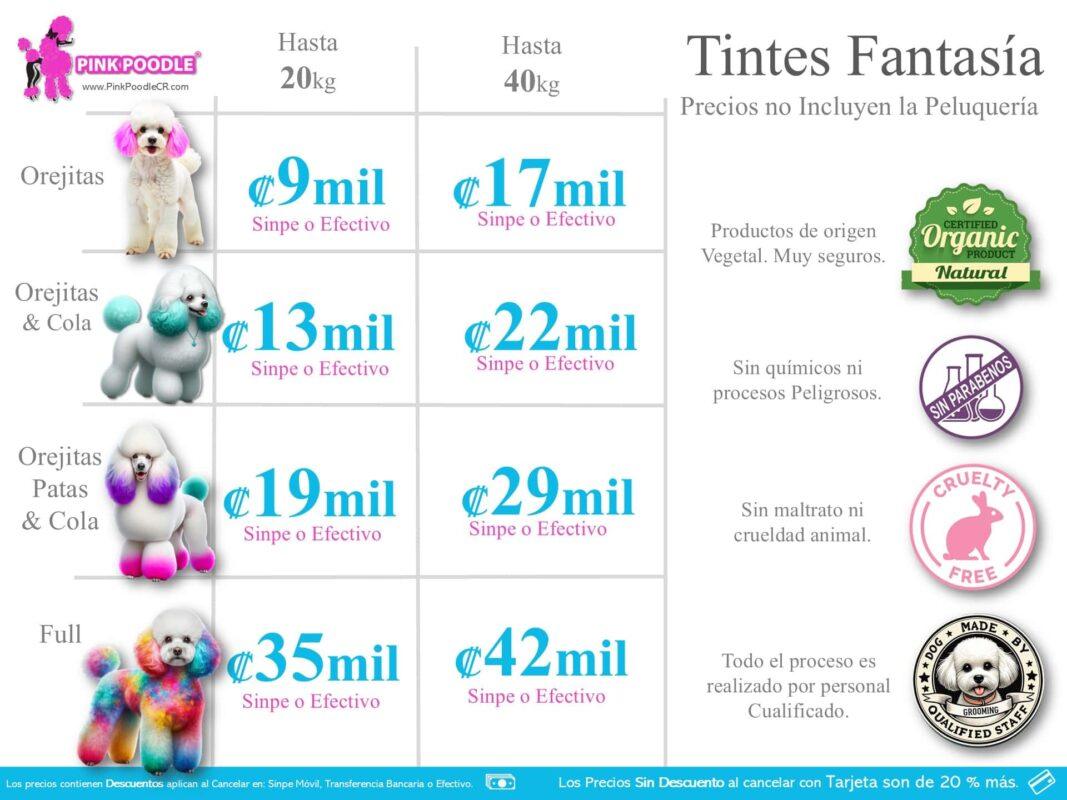 Cuidado y estética canina en Pink Poodle, especialistas en tintes fantasía naturales, seguros y sin químicos para mascotas de todos los tamaños. Servicios realizados por personal calificado.