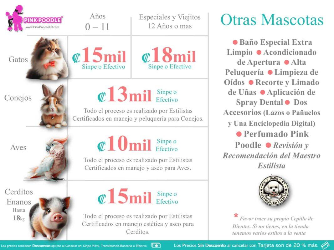 Peluquería y cuidado de mascotas en Pink Poodle, especializada en gatos, con servicios de limpieza, peluquería, corte de uñas y acondicionamiento para perros, gatos, conejos y aves, con precios accesibles.