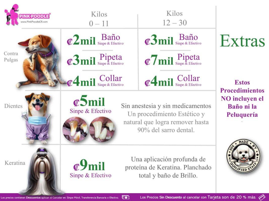 Baño canino sinpe y efectivo en Pink Poodle, precios accesibles para perros de diferentes tamaños, cuidando su higiene y salud.