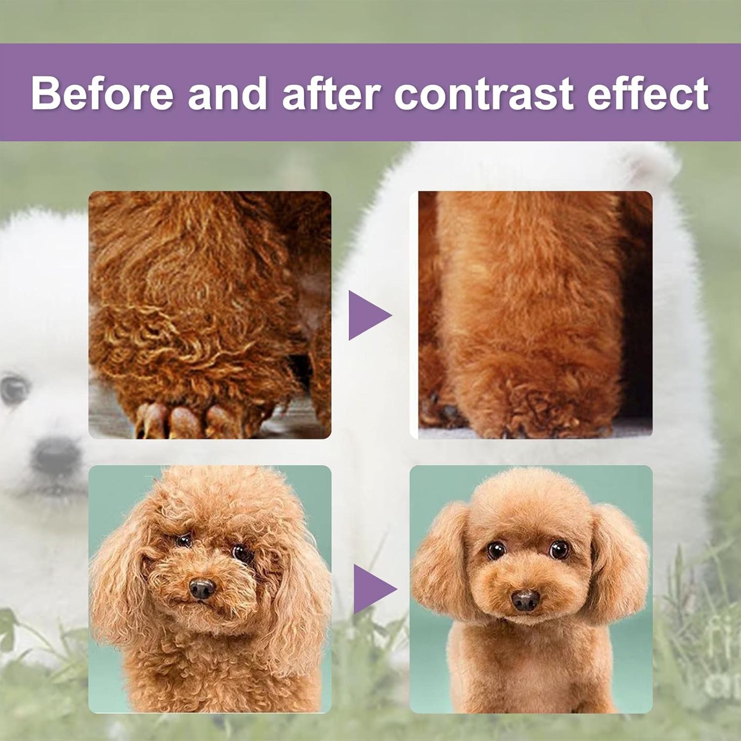 Acondicionador para Mascotas Perfecto para Todos los pelos Largos y Cortos - Imagen 3