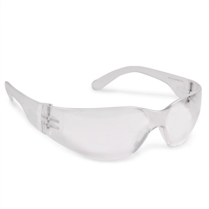 Lentes Seguridad Estilistas Caninos