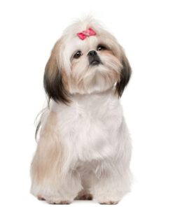 Alternative view of Set de Cuidado Piel Sensible