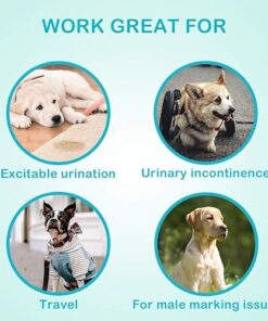 Alternative view of Pañales Machos