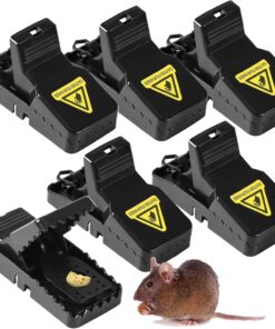 Trampas para ratones