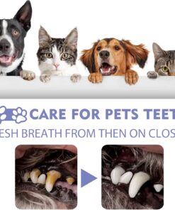 Alternative view of Spray Dental Buen Aliento para Mascotas