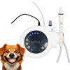 Ultrasonic Scaler Dental para Perros