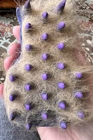 Cepillo Zoom Groom para Perros, Cepilla y Masaja Mientras Retira el Pelo Suelto y la Piel Muerta KONG - Imagen 4
