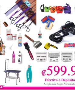 Combo Intermedio/ Avanzado - Peluquería Canina