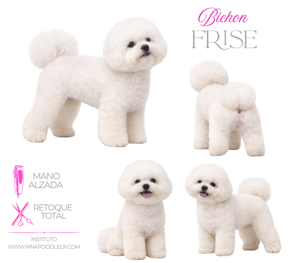 Guias Cuchillas A5 set de 4pcs - Imagen 2