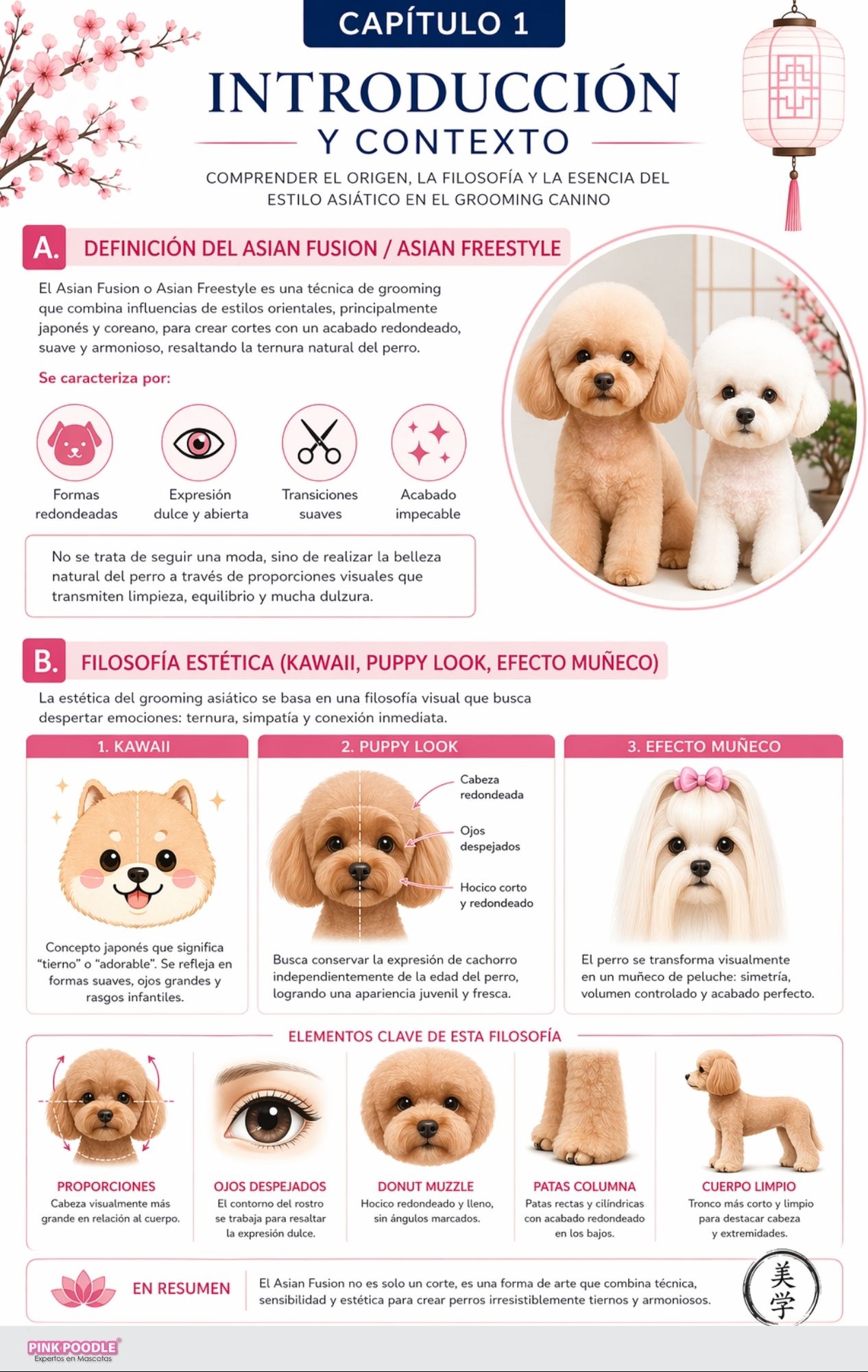 Manual Peluquería Asian Fusion Perros - Mini Curso Grooming - Imagen 2