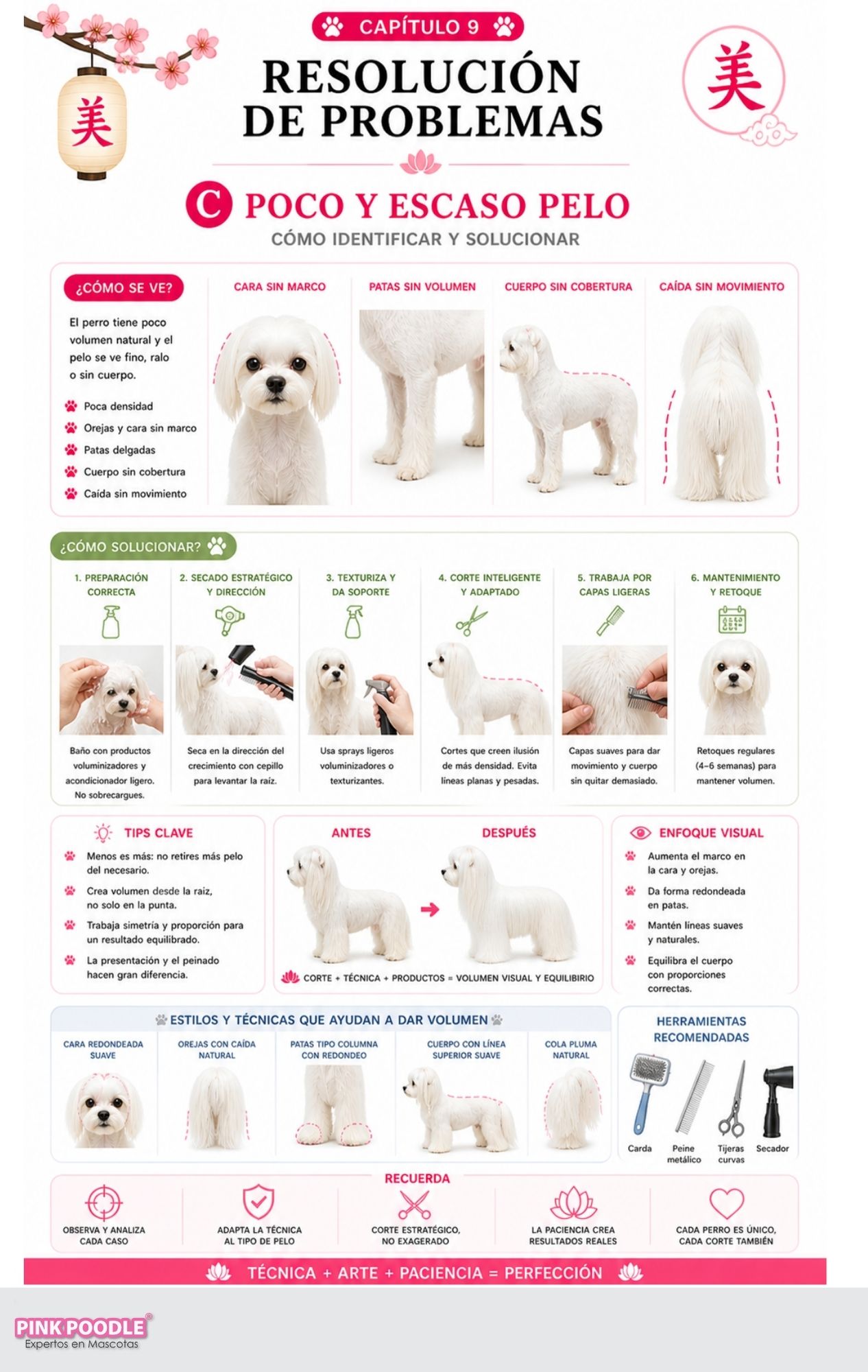 Manual Peluquería Asian Fusion Perros - Mini Curso Grooming - Imagen 5