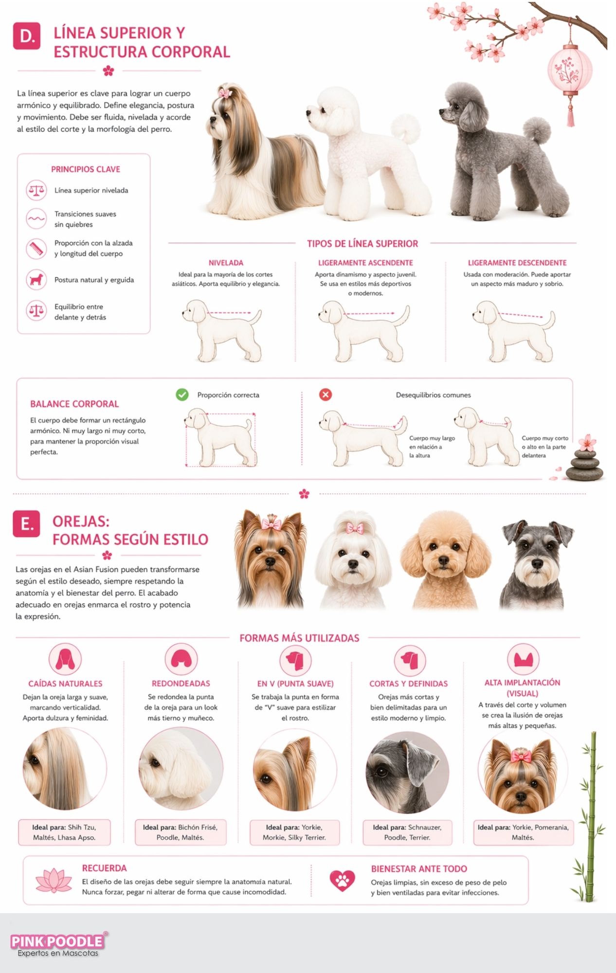 Manual Peluquería Asian Fusion Perros - Mini Curso Grooming - Imagen 3