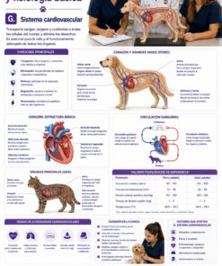 Asistente Veterinaria Libro-Curso - Imagen 3