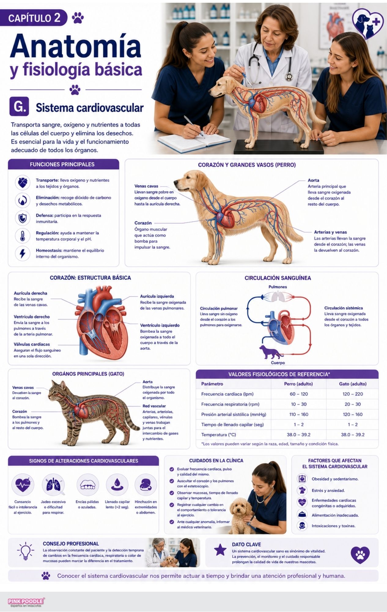 Asistente Veterinaria Libro-Curso - Imagen 3