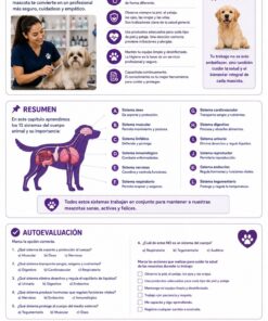 Asistente Veterinaria Libro-Curso - Imagen 4