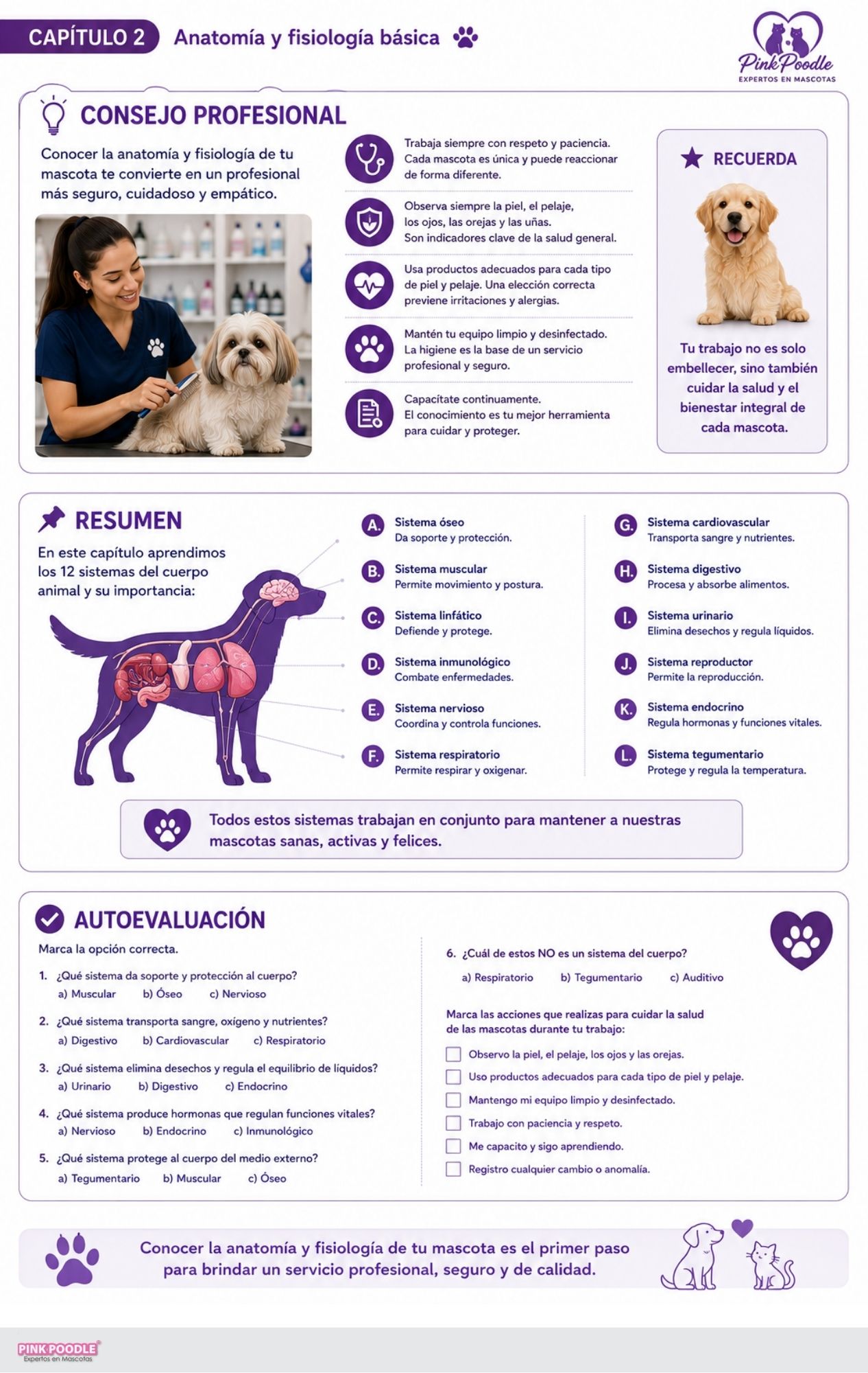 Asistente Veterinaria Libro-Curso - Imagen 4