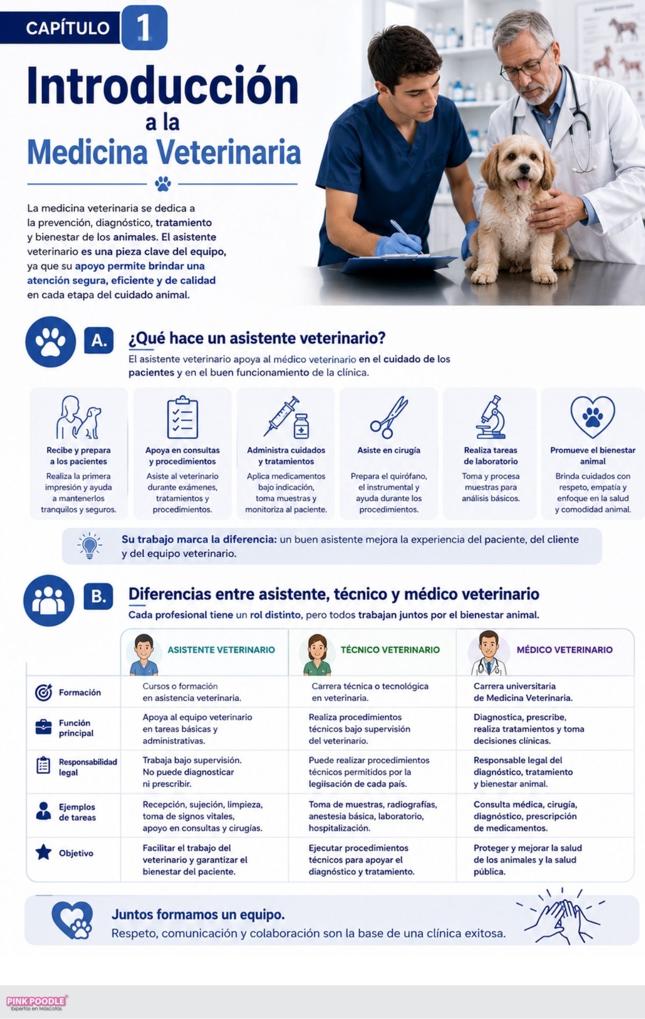 Asistente Veterinaria Libro-Curso - Imagen 2
