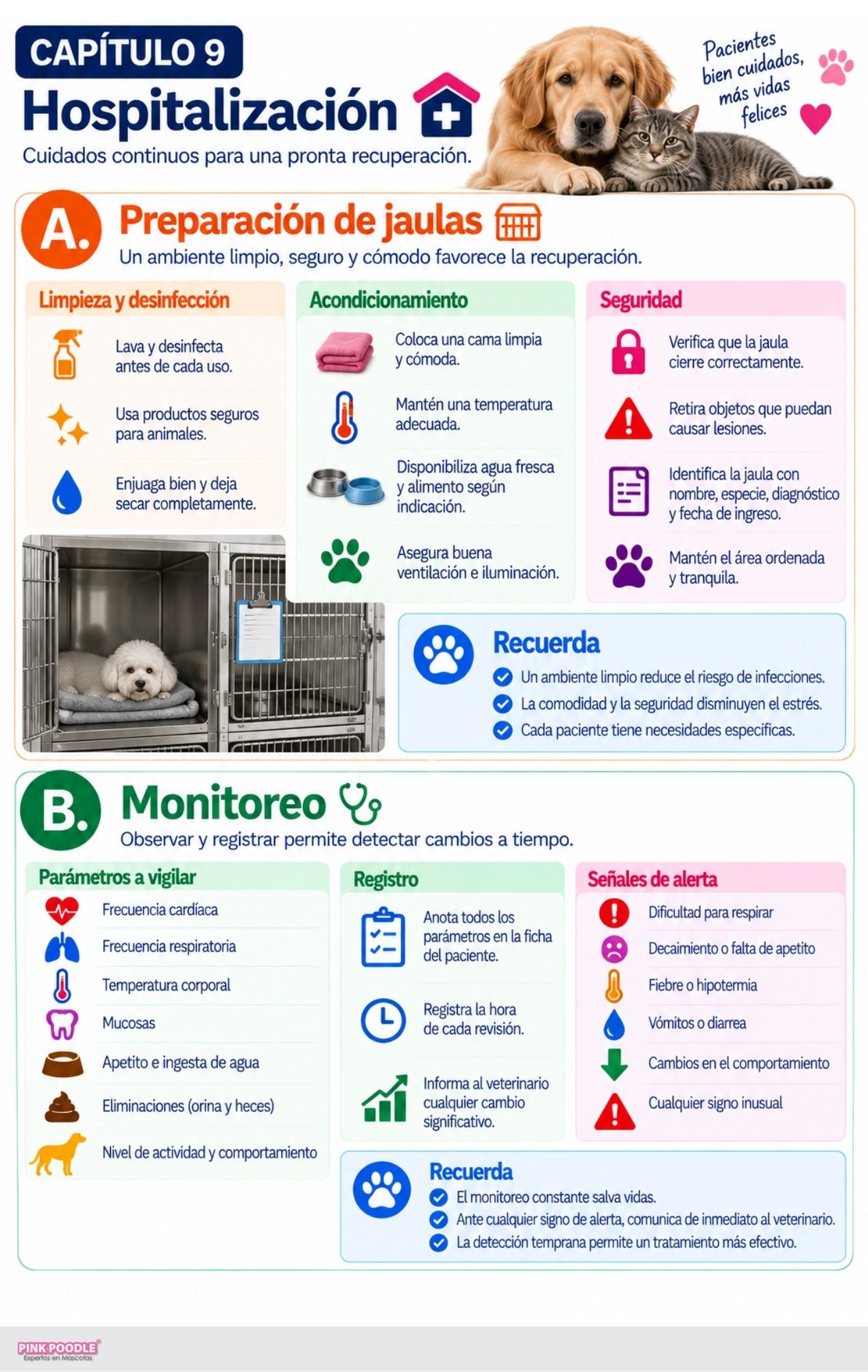 Asistente Veterinaria Libro-Curso - Imagen 6