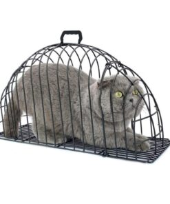 Jaula Baño Gatos Seguridad - Imagen 2