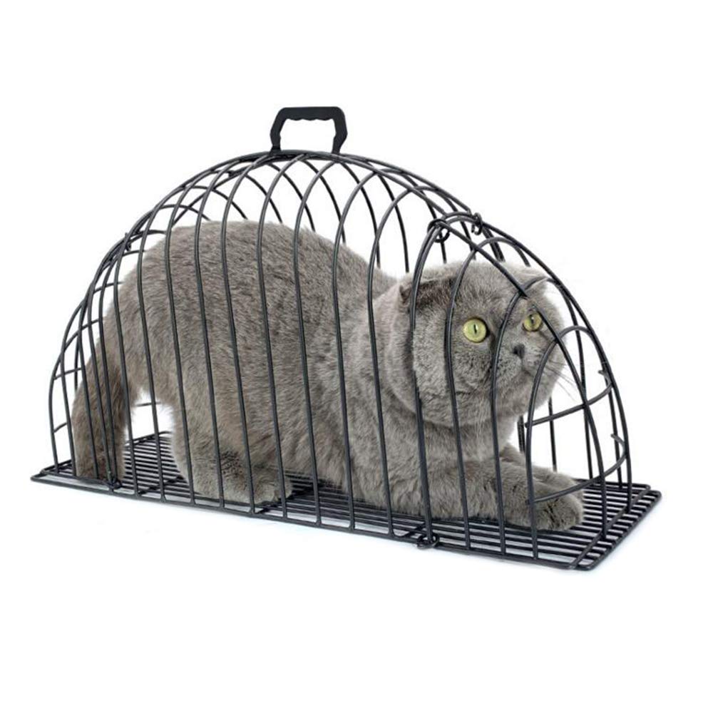 Jaula Baño Gatos Seguridad - Imagen 2